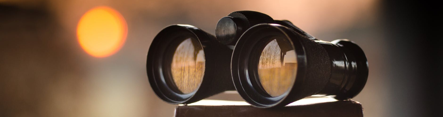 black binocular on round device